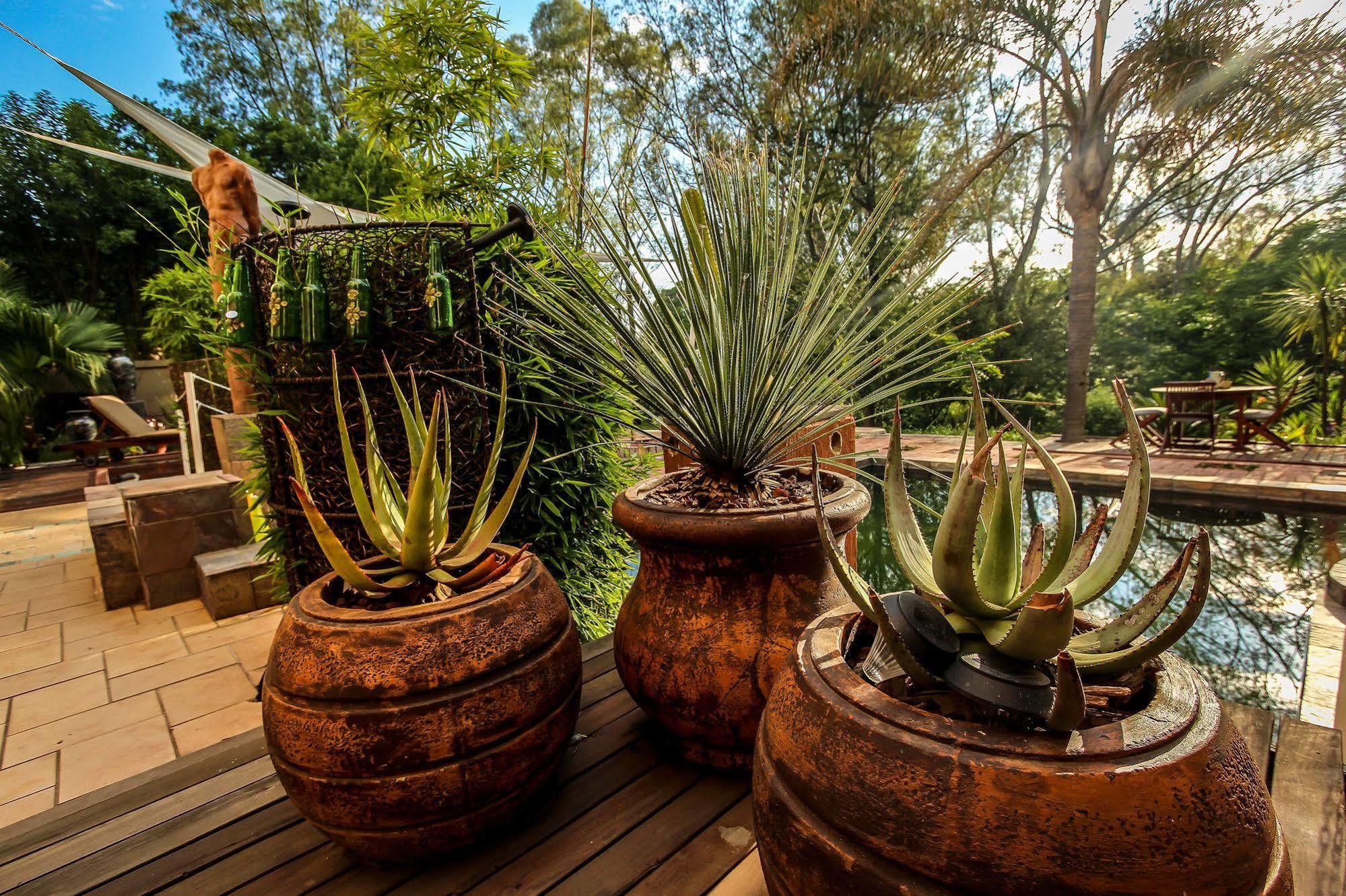 Twin Waters Guest House Randburg Экстерьер фото