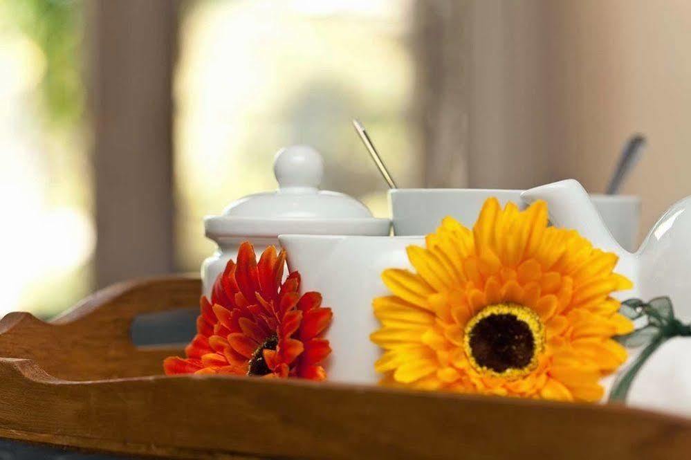 Twin Waters Guest House Randburg Экстерьер фото